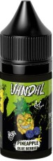 Жидкость для ЭСДН VANDAL OXID SALT 30мл 20мг Pineapple Blue Berries extra