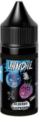 Жидкость для ЭСДН VANDAL ICE SALT 30мл 20мг Bilberry Raspberry extra